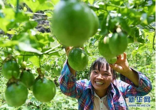 人社部、國務(wù)院扶貧辦聯(lián)合開展深度貧困地區(qū)技能扶貧行動