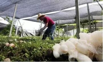 人社部、國務(wù)院扶貧辦聯(lián)合開展深度貧困地區(qū)技能扶貧行動
