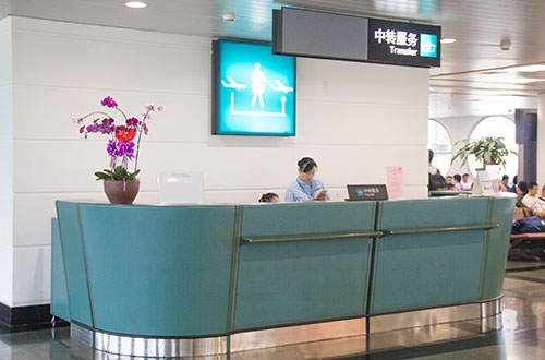 臨沂空乘學(xué)校有哪些？哪所學(xué)校比較好？