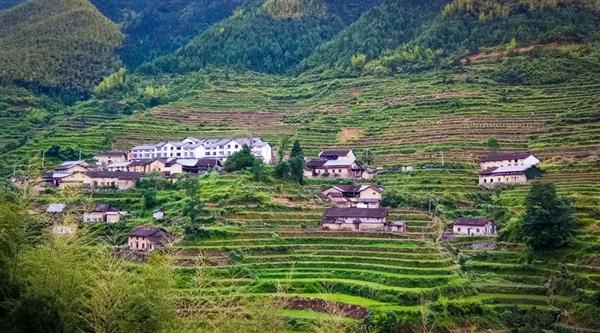 農(nóng)村經(jīng)濟(jì)綜合管理專業(yè)怎么樣？山東威海外國語進(jìn)修學(xué)院帶你了解一下！