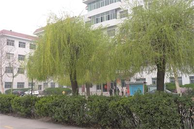 保定哪所正規(guī)的學校有鐵路專業(yè)？   