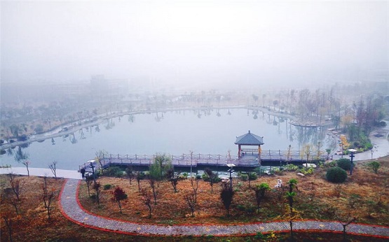 1611737889_1731_thumb 1611737889_1731_thumb