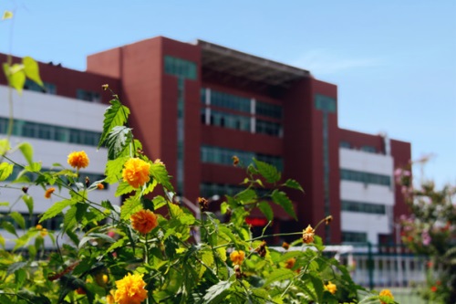 通過單招考取大學(xué)有哪些優(yōu)勢？
