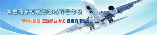 河北哪所學(xué)校開設(shè)了航空服務(wù)專業(yè)？