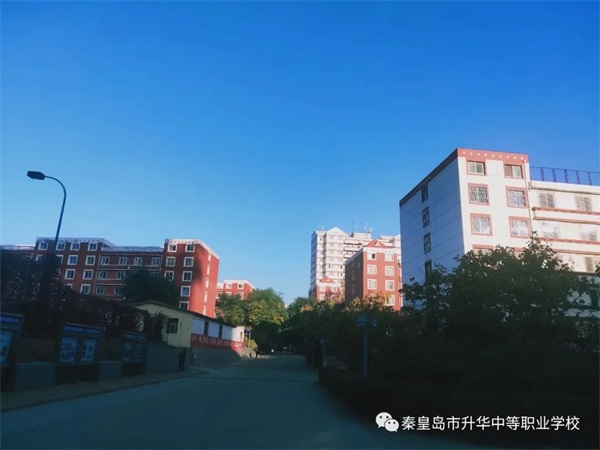 學(xué)習(xí)電子商務(wù)專業(yè)畢業(yè)后有哪些就業(yè)方向？
