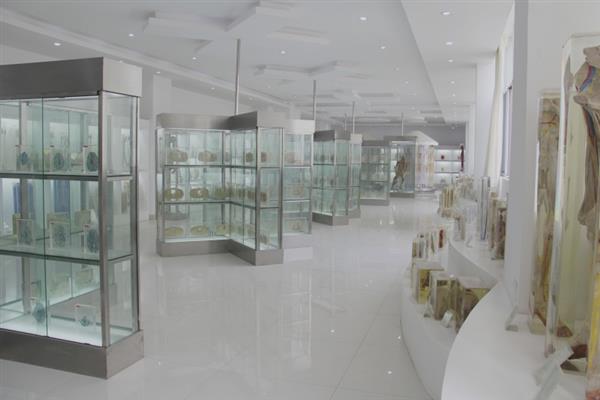 0c9032a83ad7e76f387614fc82c66ffb 0c9032a83ad7e76f387614fc82c66ffb