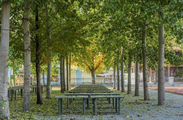 山東廣播電視大學(xué)成教學(xué)院航空分院都招什么樣的學(xué)生？