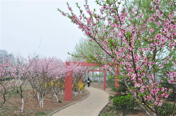 山東凱文科技職業(yè)學(xué)院都有哪些優(yōu)點(diǎn)？