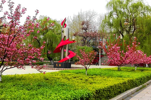 選擇齊魯技術(shù)學(xué)院學(xué)幼師怎么樣？