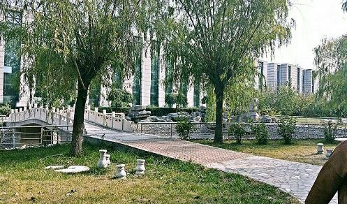 保定那個學(xué)?？梢詫W(xué)到專業(yè)汽修技術(shù)？