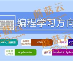 孩子為什么要盡早學習少兒編程。濟寧蘑菇云少兒編程