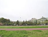 校園風(fēng)光