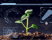 專(zhuān)業(yè)特色