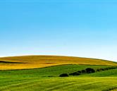 專(zhuān)業(yè)特色