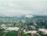 專(zhuān)業(yè)特色